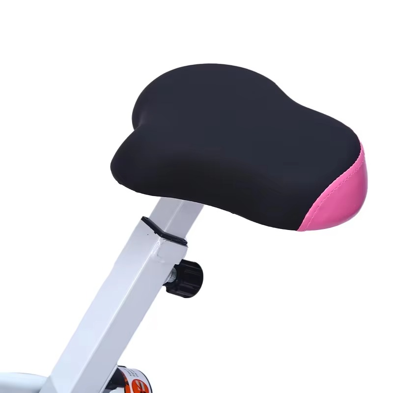 Stationary Bicycle Magnetic Co - đánh giá và giá Health Wellness Training