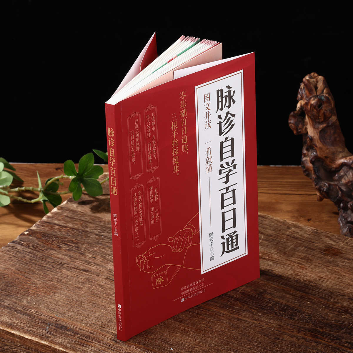 Pulse Diagnosis Self Study Hun - đánh giá và giá Health & Wellness Expo